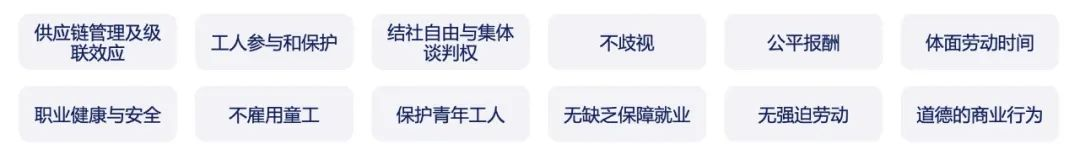 康容實(shí)業(yè)榮獲BSCI權(quán)威認(rèn)證，為出海全球市場(chǎng)持續(xù)加碼