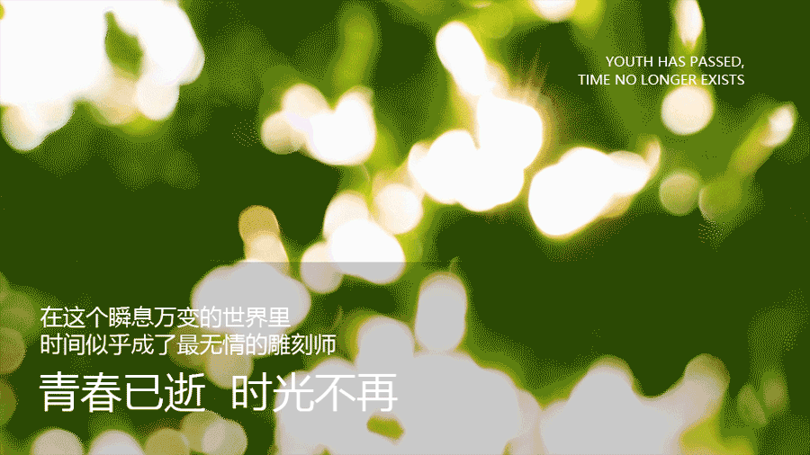 逆轉時光，重塑青春之美丨NAD+銀鉆微雕緊致系列