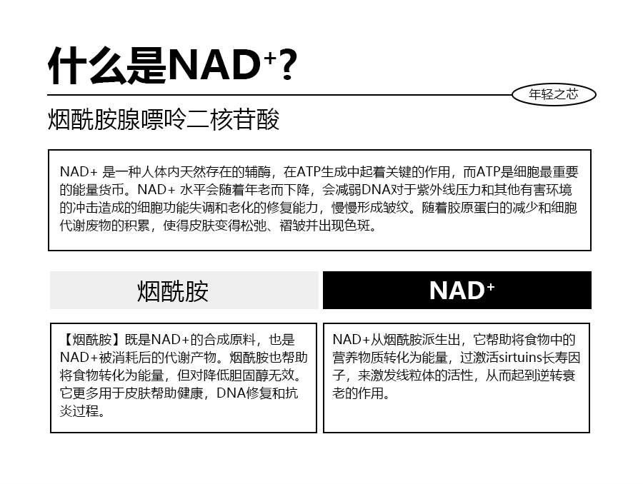 逆轉時光，重塑青春之美丨NAD+銀鉆微雕緊致系列