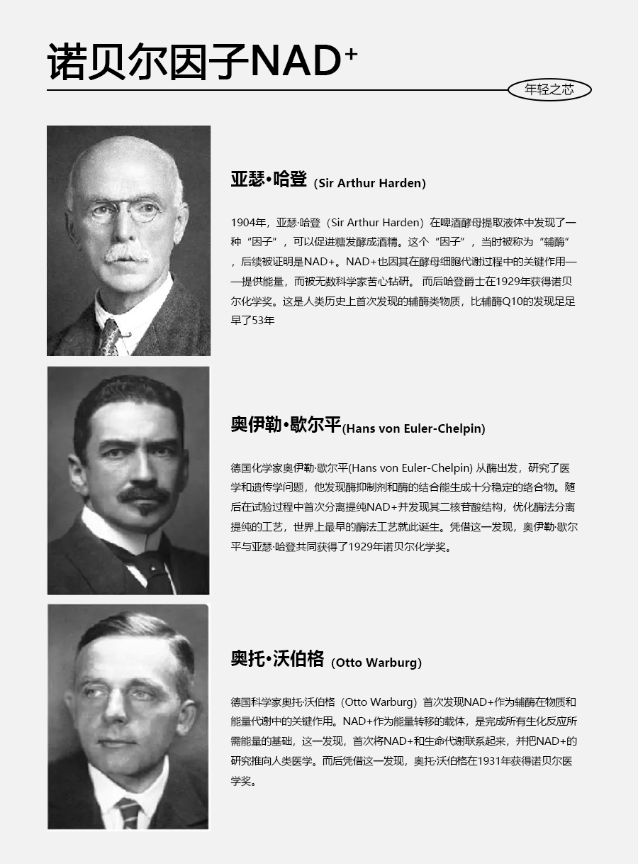 逆轉時光，重塑青春之美丨NAD+銀鉆微雕緊致系列